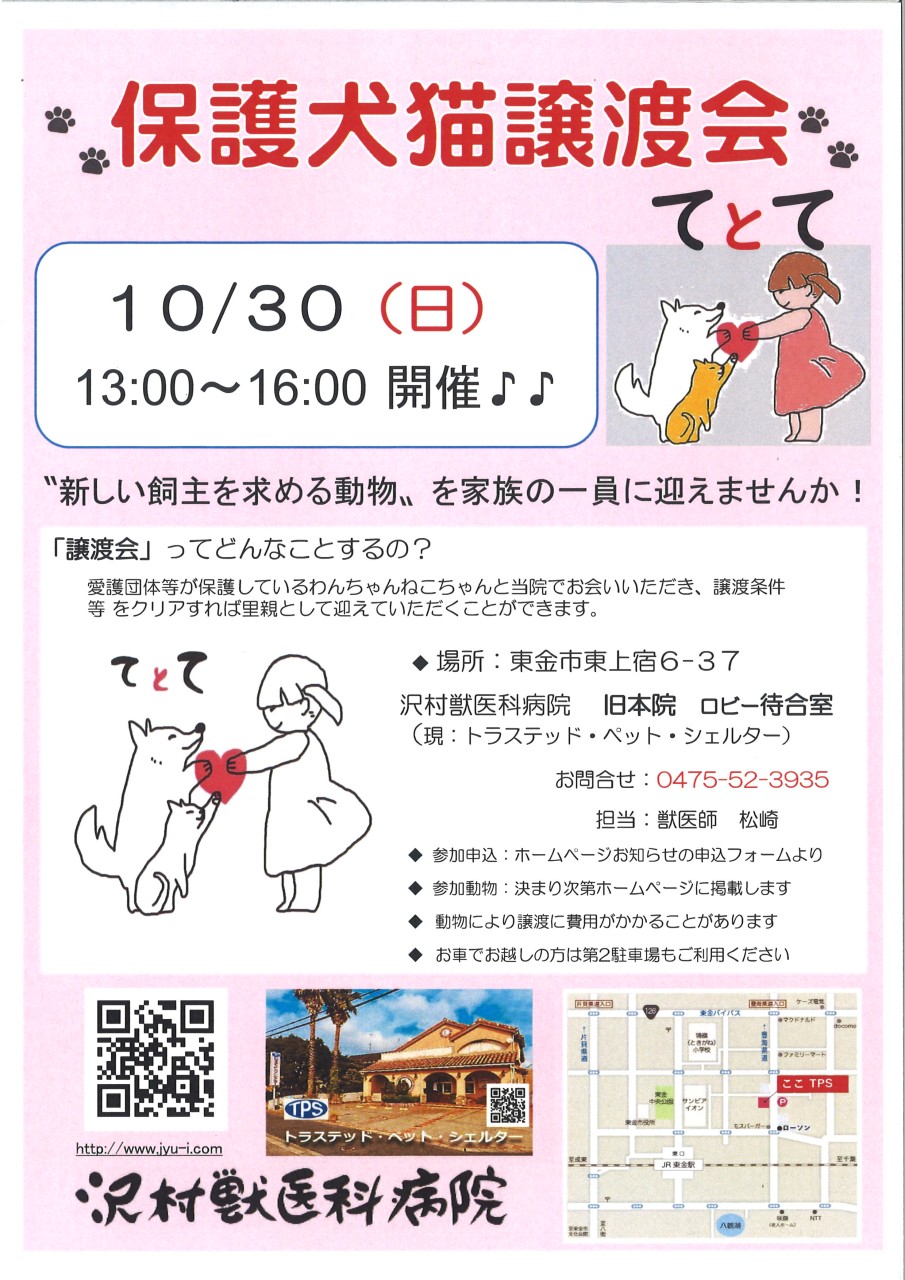 10月30日(日)譲渡会のお知らせ