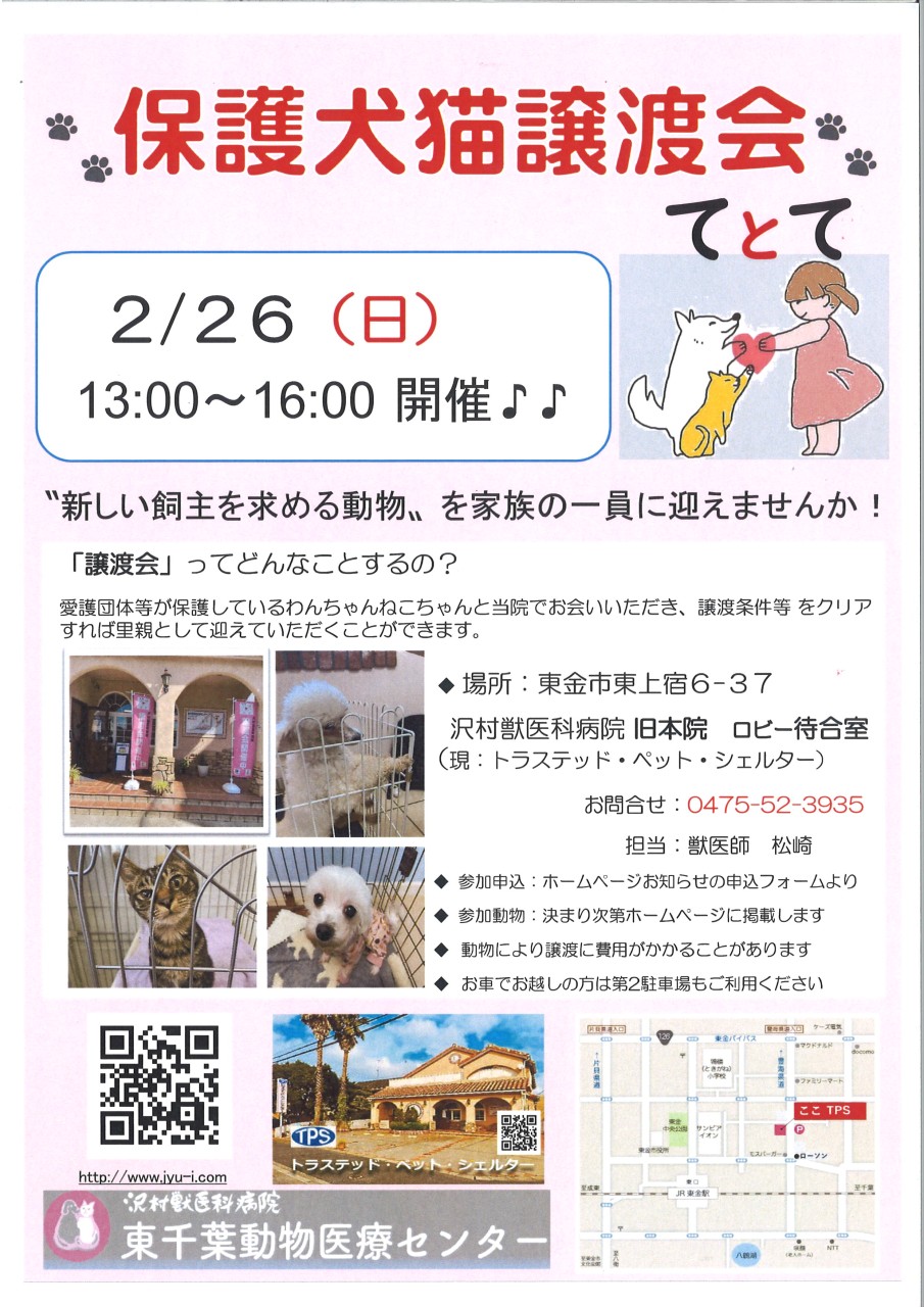 2月26日(日)譲渡会のお知らせ